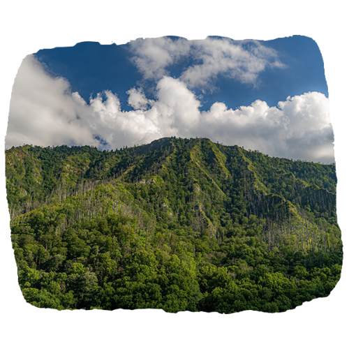 Great Smoky Mountains National Park