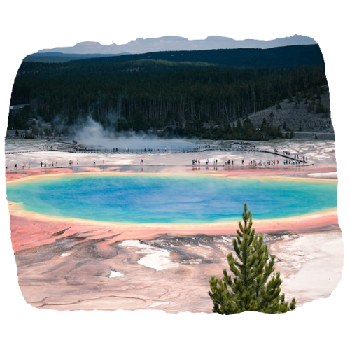 Yellowstone National Park